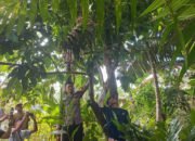 geger-seorang-pelajar-sma-di-nias-barat-nekat-gantung-diri-di-pohon-jambu4fjf65jf