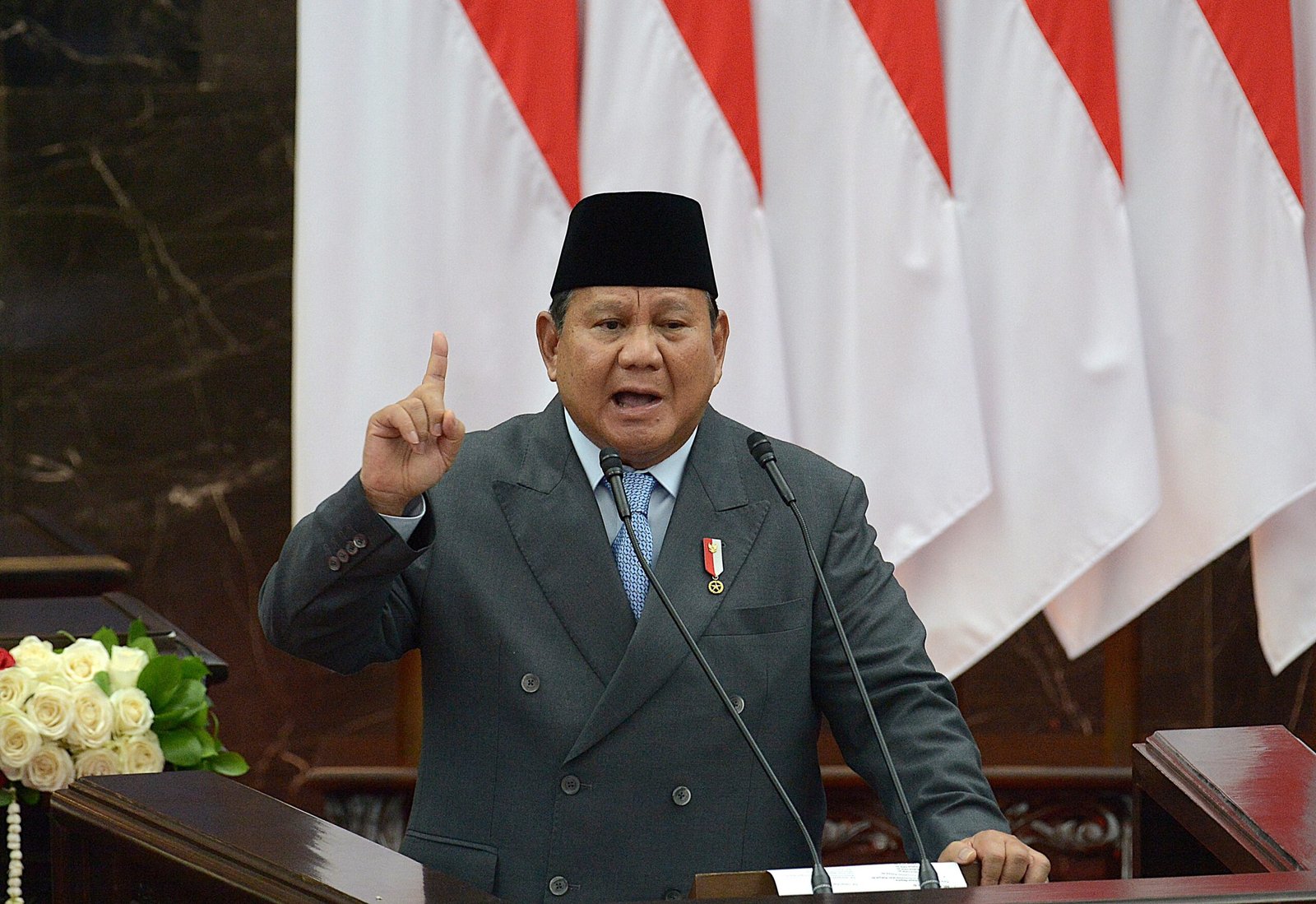 Presiden-Prabowo-Cabut-Izin-28-PT-di-Indonesia