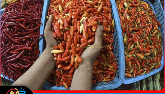 Harga-pangan-Senin-cabai-rawit-merah-turun