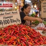 Harga Cabaik Naik Harga Cabaik Naik