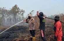 Kebakaran Hutan