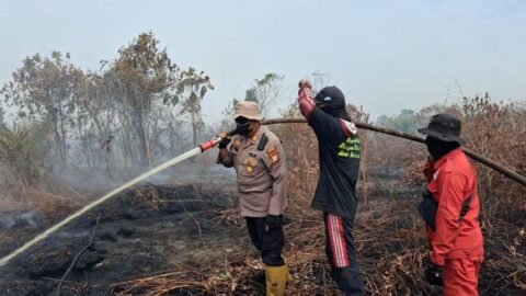 Kebakaran Hutan
