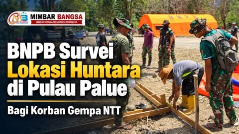 Pekerja membangun hunian sementara komunal bagi penyintas gempa di Desa Maluriwu, Pulau Palue, Kabupaten Sikka, NTT, pada 8 Oktober 2026.