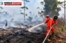 Petugas melakukan upaya pengendalian kebakaran hutan dan lahan di Kalimantan Tengah (Kalteng)