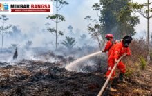 Petugas melakukan upaya pengendalian kebakaran hutan dan lahan di Kalimantan Tengah (Kalteng)
