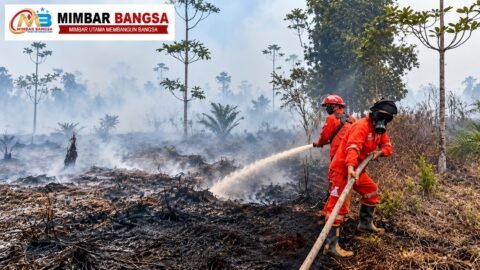 Petugas melakukan upaya pengendalian kebakaran hutan dan lahan di Kalimantan Tengah (Kalteng)